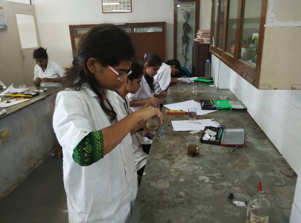 Pharmacognosy Lab